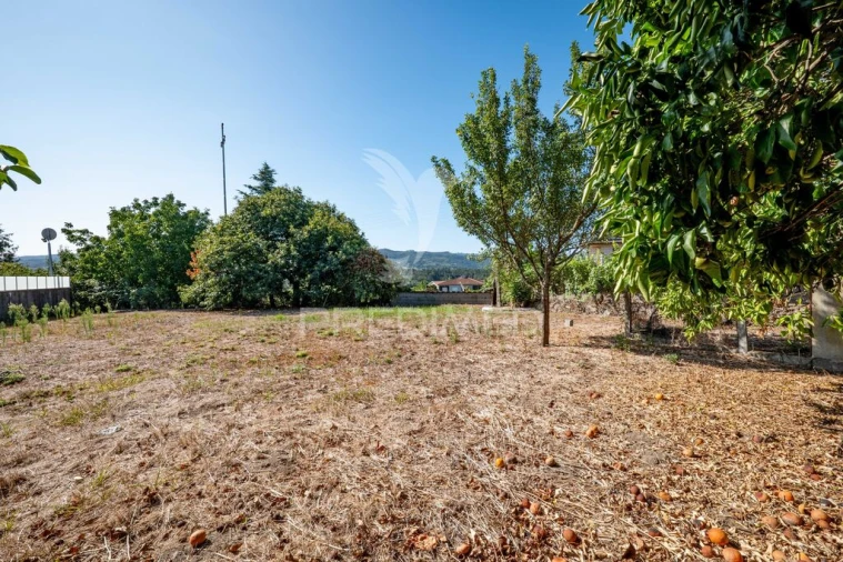 Terreno para Venda em Ferreiros, Prozelo e Besteiros Foto 11