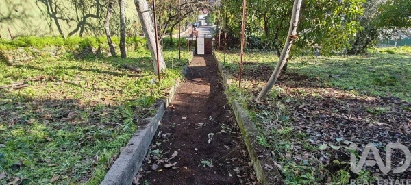 Moradia T4 para Venda em Montes da Senhora