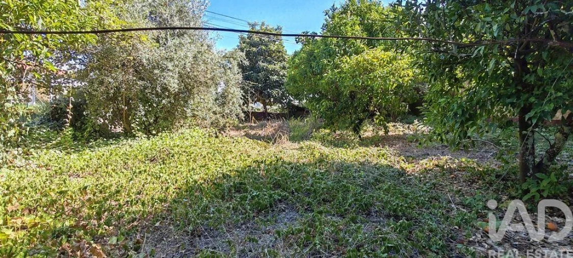 Moradia T4 para Venda em Montes da Senhora Foto 37