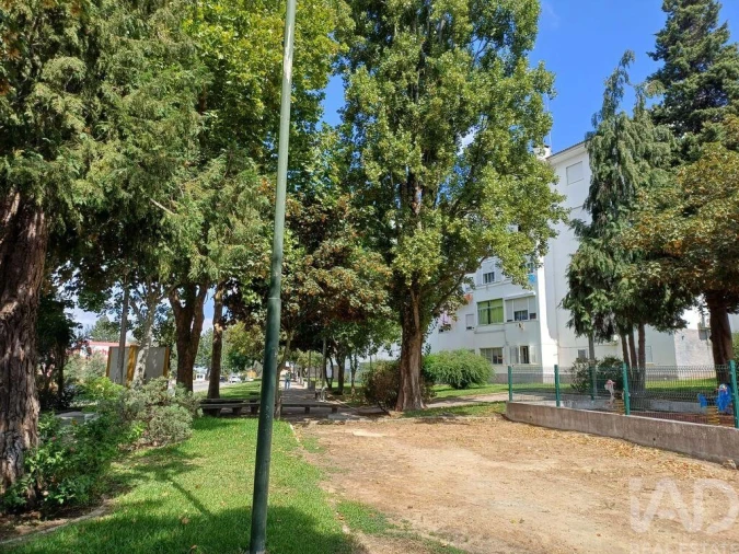 Apartamento T1 para Venda em Ribeira de Nisa e Carreiras Foto 12
