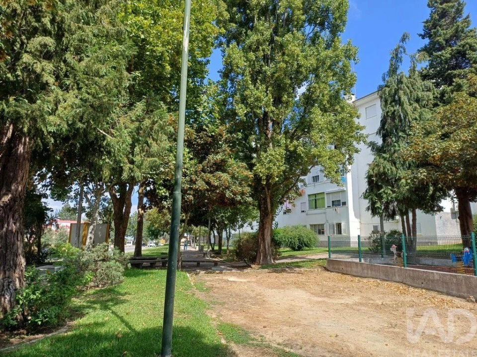 Apartamento T1 para Venda em Ribeira de Nisa e Carreiras Foto 12