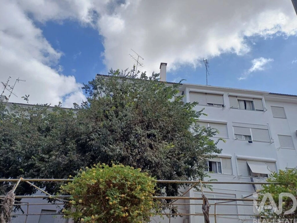 Apartamento T1 para Venda em Ribeira de Nisa e Carreiras Foto 8