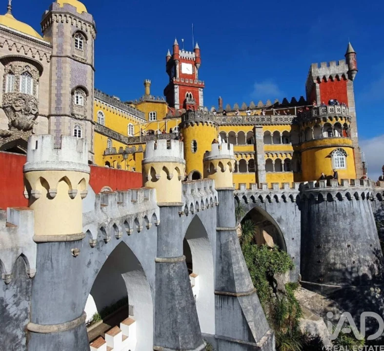 Terreno para Venda em Santa Maria e São Miguel, São Martinho, São Pedro Penaferrim Foto 10
