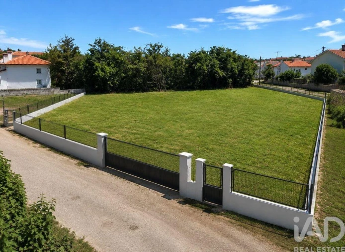 Terreno para Venda em Santa Maria e São Miguel, São Martinho, São Pedro Penaferrim Foto 3
