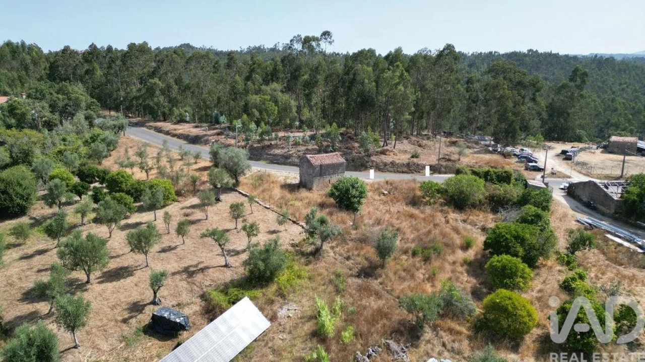 Armazém para Venda em Lamas Foto 15
