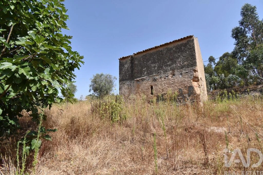 Armazém para Venda em Lamas Foto 8