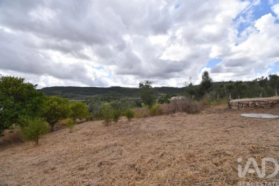 Armazém para Venda em Lamas