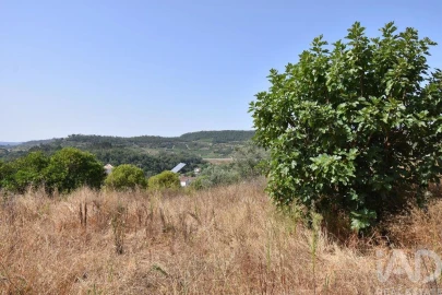 Armazém para Venda em Lamas