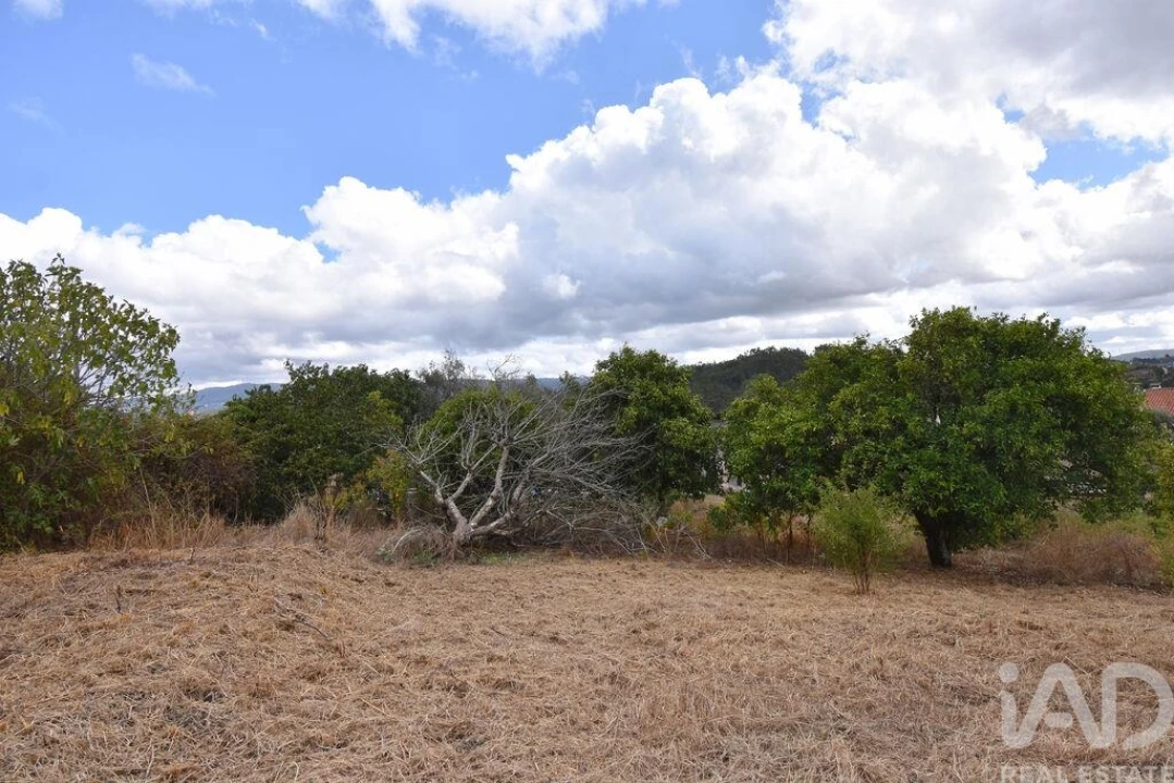 Armazém para Venda em Lamas Foto 14