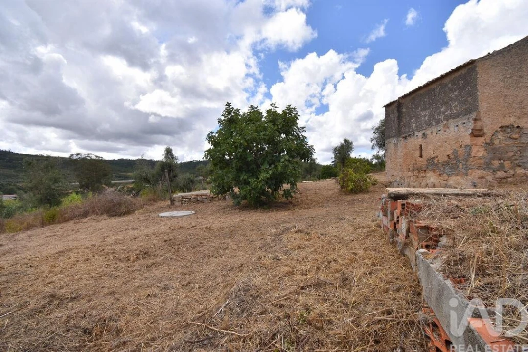 Armazém para Venda em Lamas Foto 10