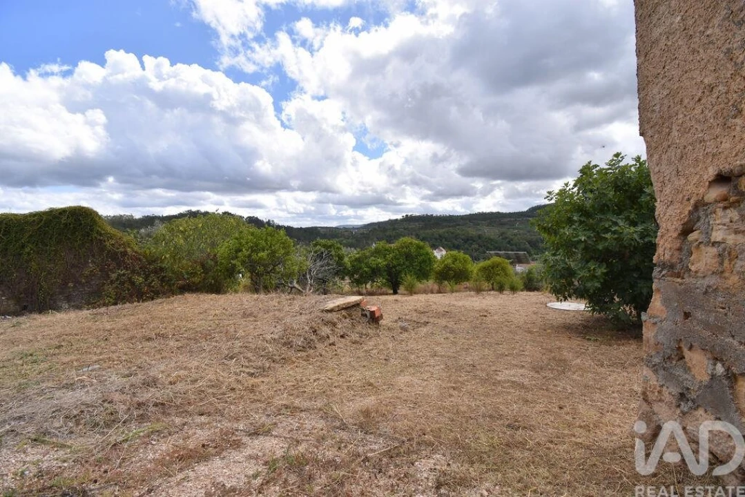 Armazém para Venda em Lamas Foto 8