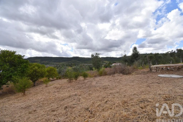Armazém para Venda em Lamas Foto 15