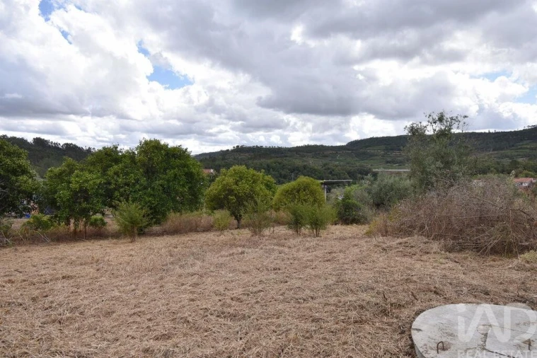 Armazém para Venda em Lamas Foto 12