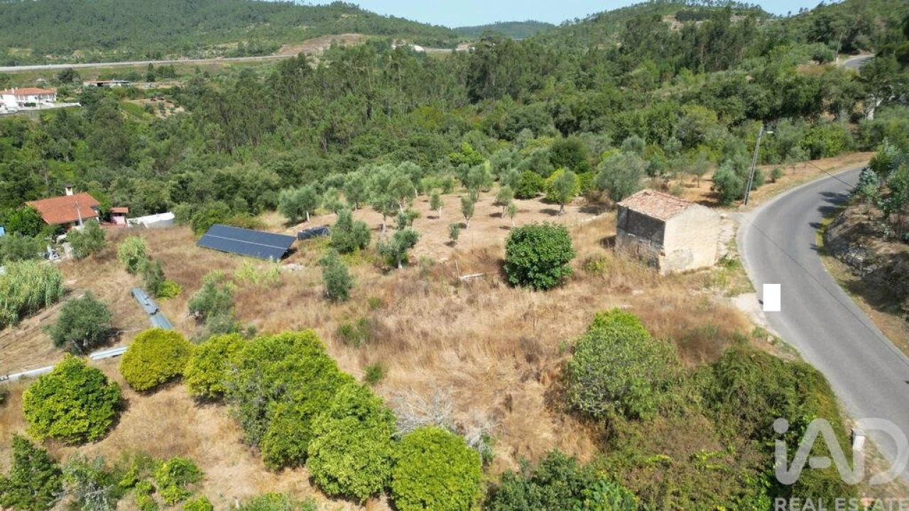 Armazém para Venda em Lamas Foto 19