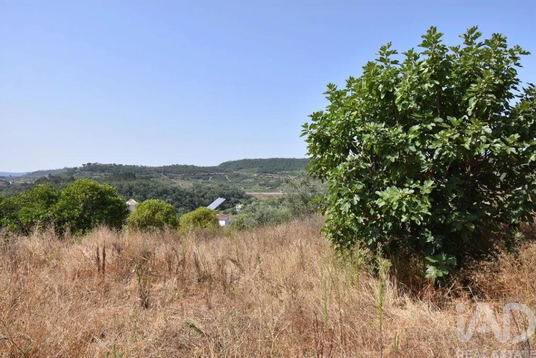 Armazém para Venda em Lamas Foto 7