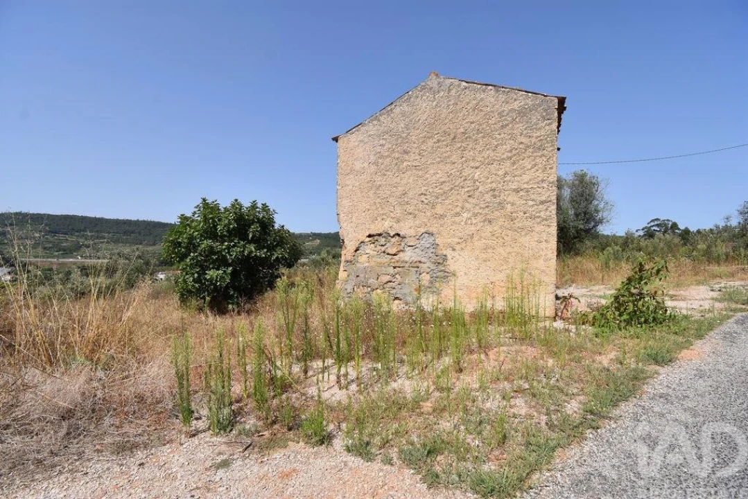 Armazém para Venda em Lamas Foto 6