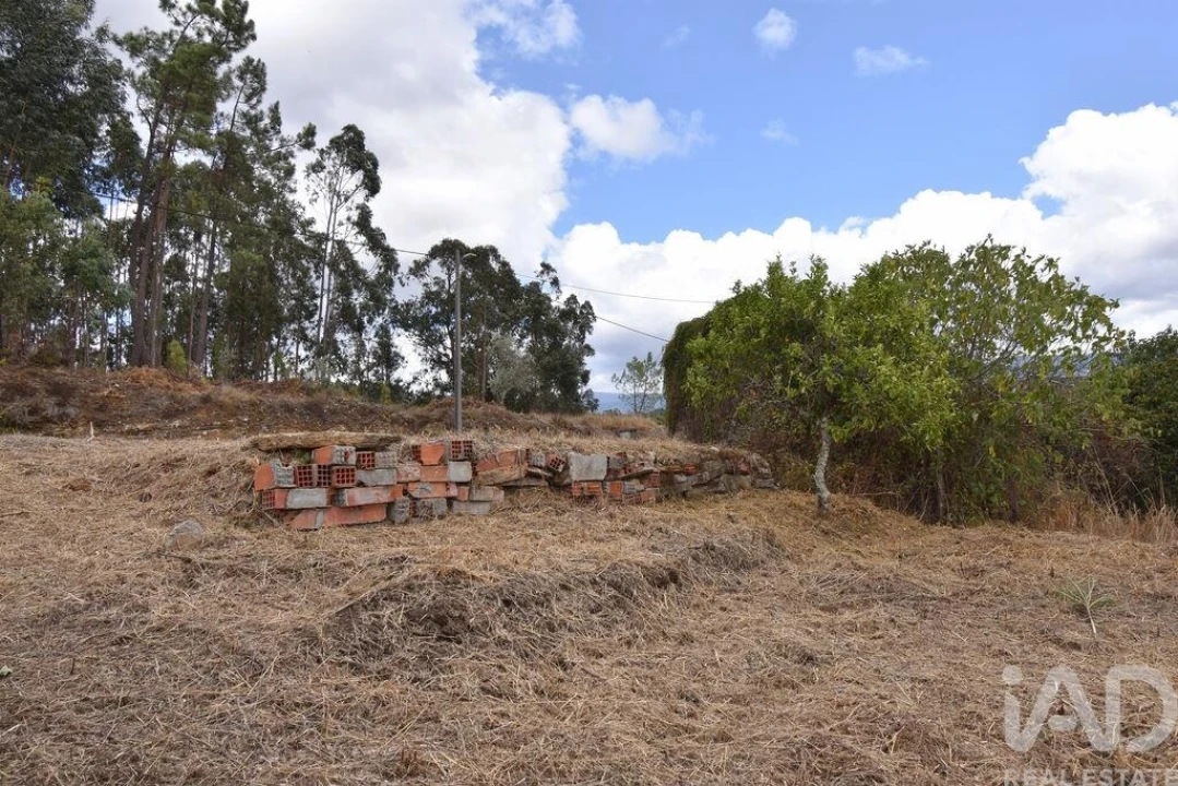 Armazém para Venda em Lamas Foto 13
