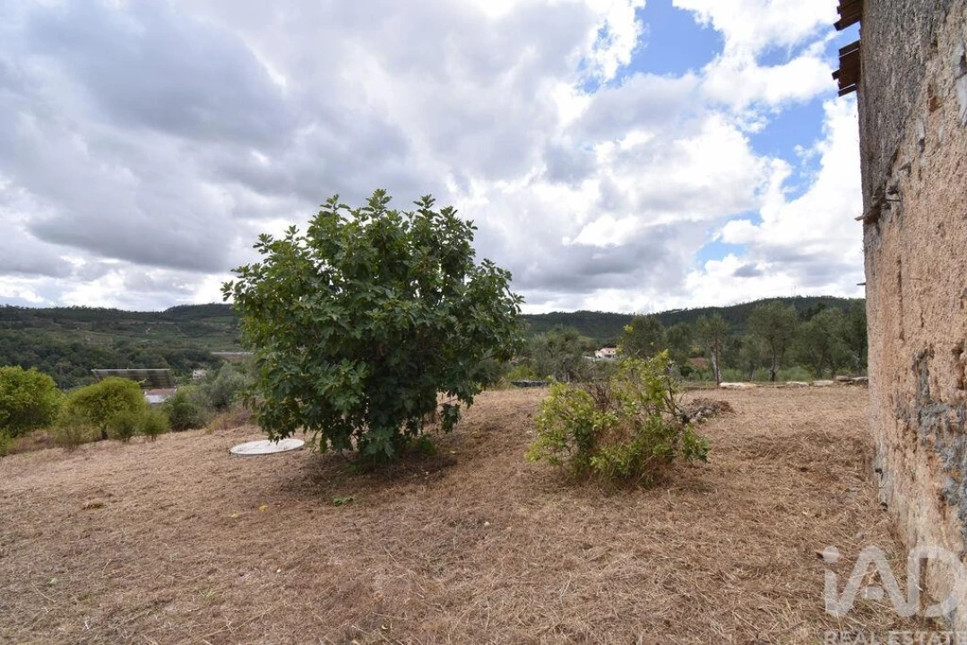 Armazém para Venda em Lamas Foto 9