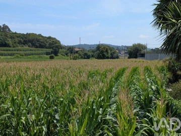 Terreno para Venda em Rio Mau e Arcos