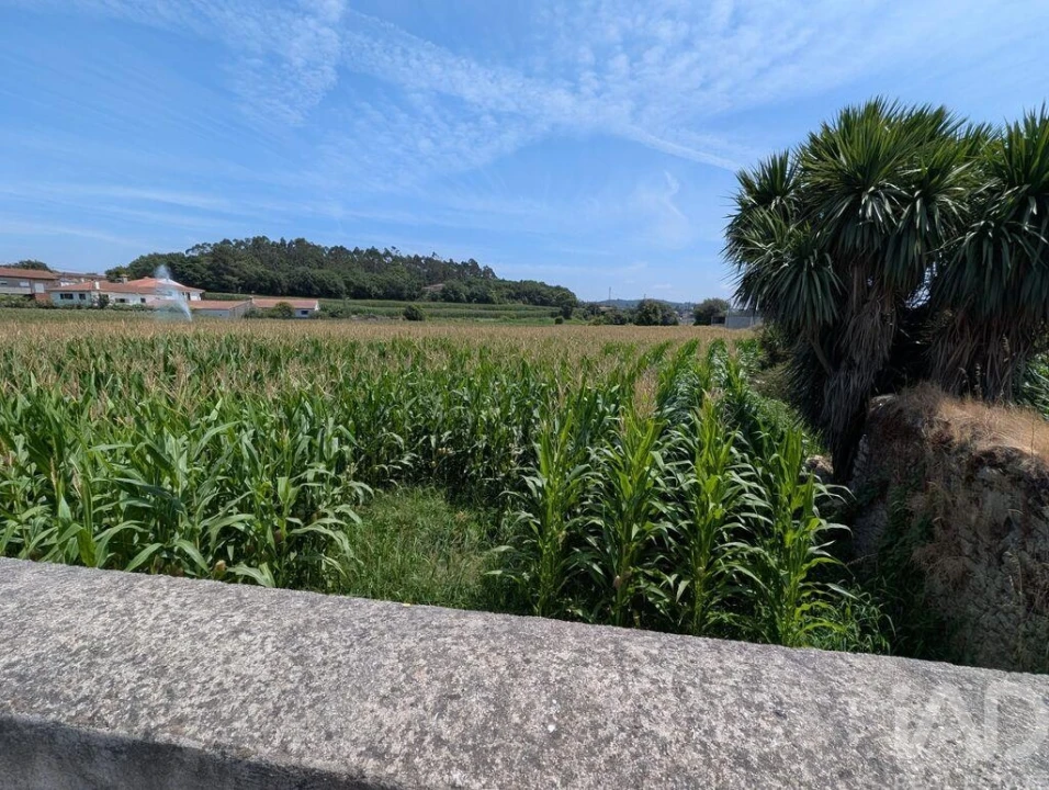 Terreno para Venda em Rio Mau e Arcos Foto 3