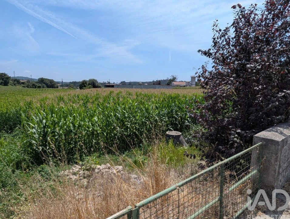 Terreno para Venda em Rio Mau e Arcos Foto 2
