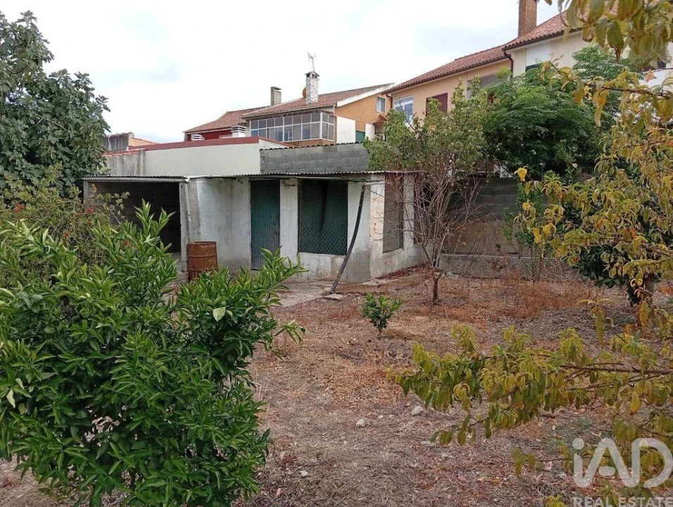Moradia T3 para Venda em São Pedro de Tomar Foto 10