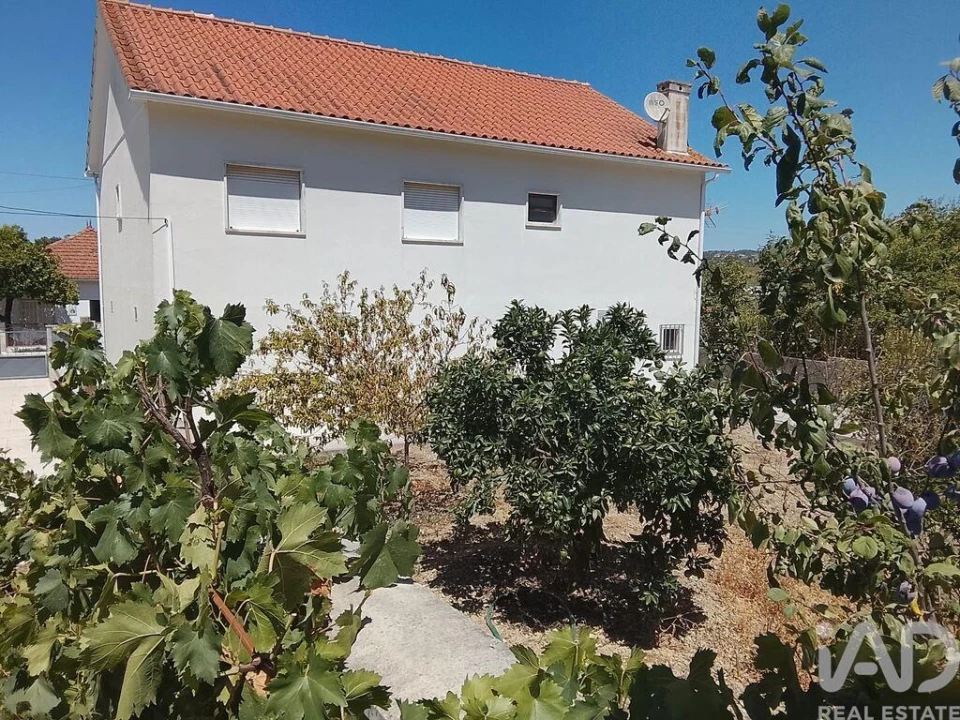 Moradia T3 para Venda em São Pedro de Tomar Foto 38