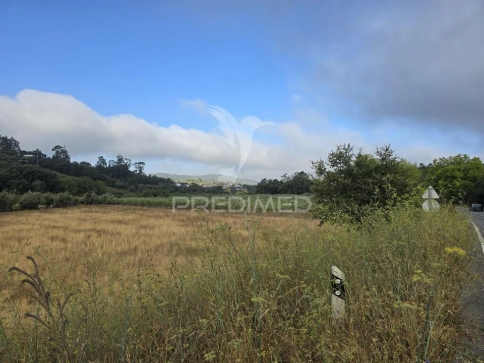 Terreno para Venda em Vila Seca e Bem da Fé Foto 11