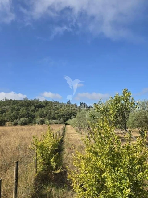 Terreno para Venda em Vila Seca e Bem da Fé