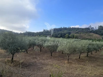 Terreno para Venda em Vila Seca e Bem da Fé
