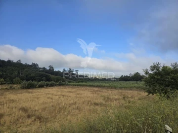 Terreno para Venda em Vila Seca e Bem da Fé