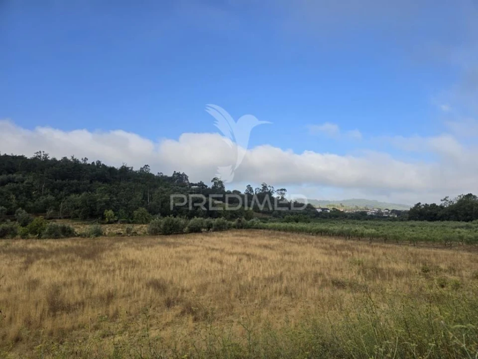 Terreno para Venda em Vila Seca e Bem da Fé Foto 13