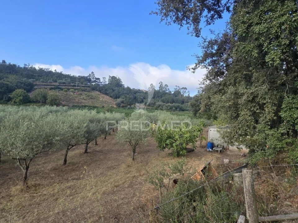 Terreno para Venda em Vila Seca e Bem da Fé Foto 7