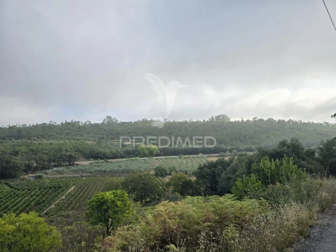 Terreno para Venda em Vila Seca e Bem da Fé Foto 10