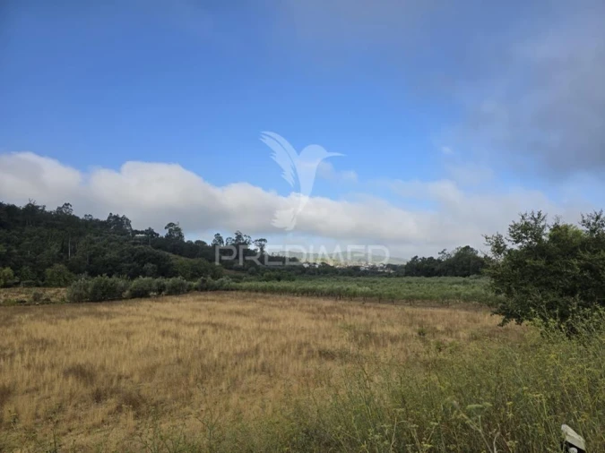 Terreno para Venda em Vila Seca e Bem da Fé Foto 4
