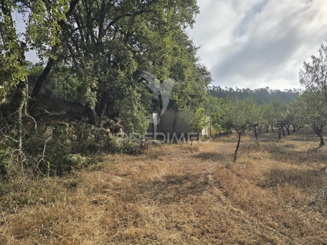 Terreno para Venda em Vila Seca e Bem da Fé Foto 14