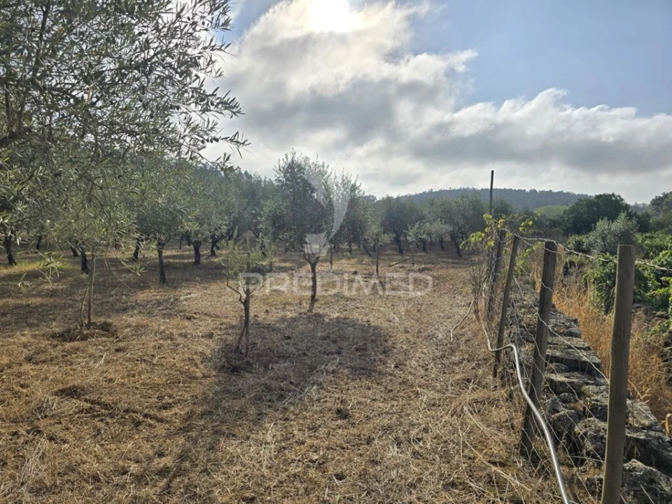 Terreno para Venda em Vila Seca e Bem da Fé Foto 15