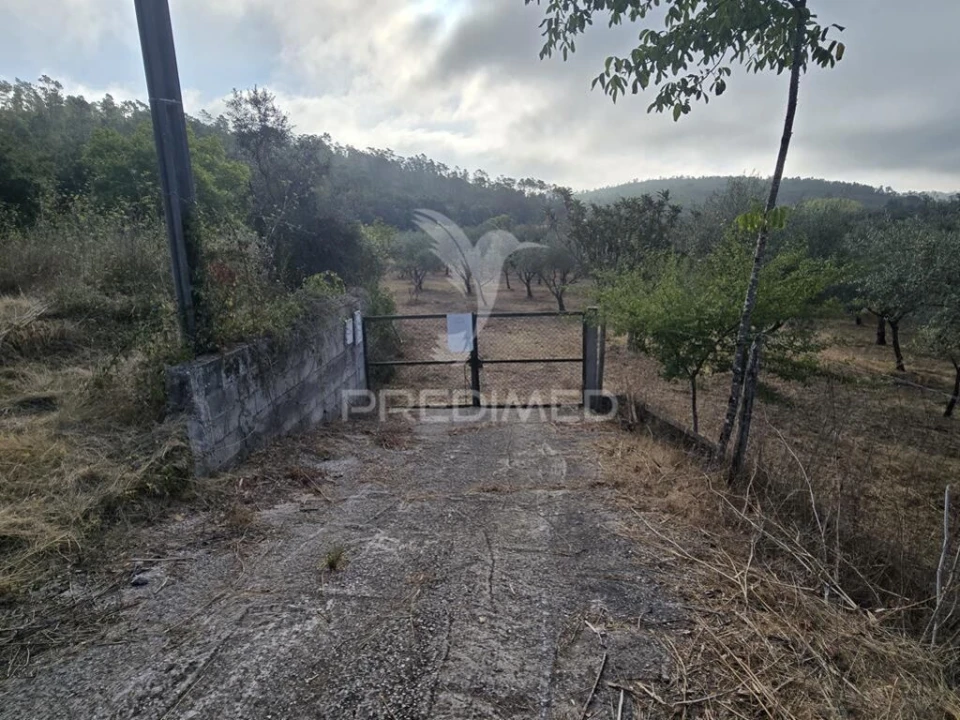 Terreno para Venda em Vila Seca e Bem da Fé Foto 8