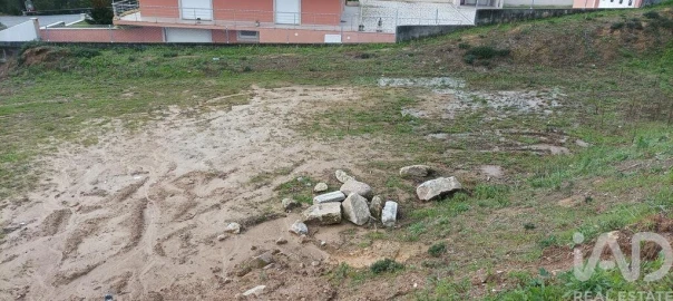 Terreno para Venda em Antas
