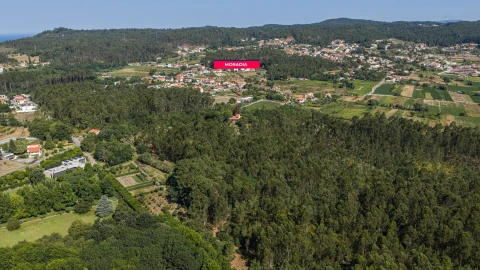 Quinta T5 para Venda em Palmeira de Faro e Curvos