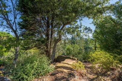 Quinta T5 para Venda em Palmeira de Faro e Curvos