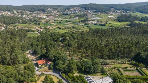 Quinta T5 para Venda em Palmeira de Faro e Curvos
