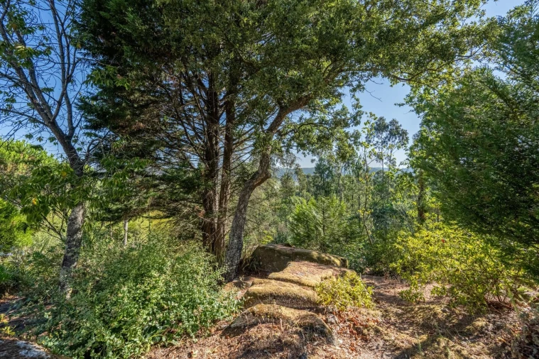 Quinta T5 para Venda em Palmeira de Faro e Curvos Foto 71