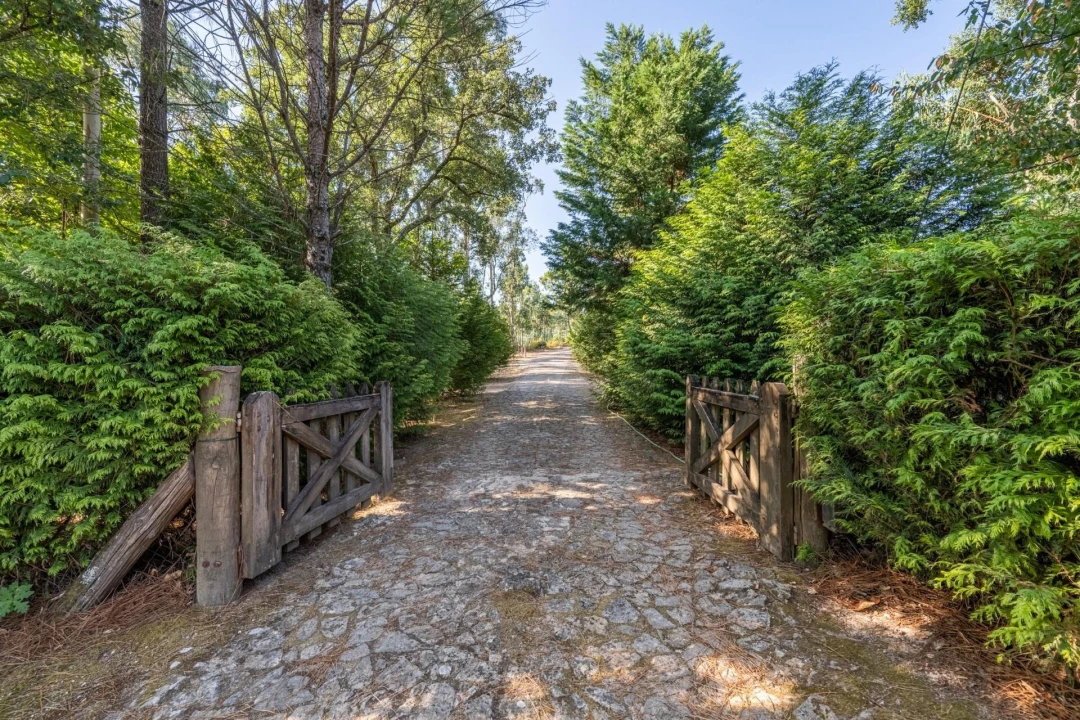 Quinta T5 para Venda em Palmeira de Faro e Curvos Foto 65