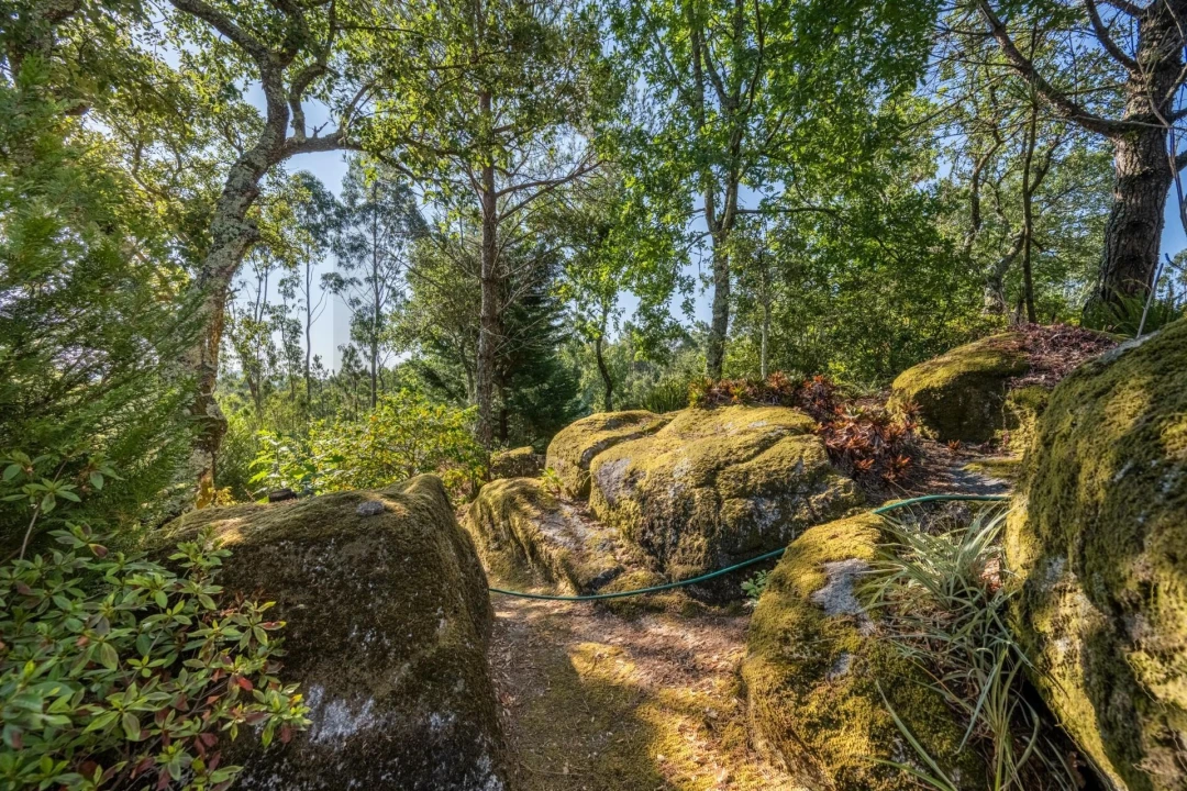 Quinta T5 para Venda em Palmeira de Faro e Curvos Foto 72