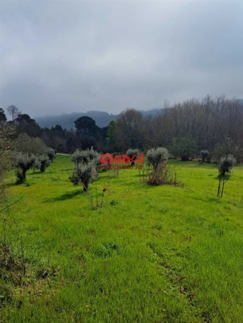 Terreno para Venda em São João de Lourosa