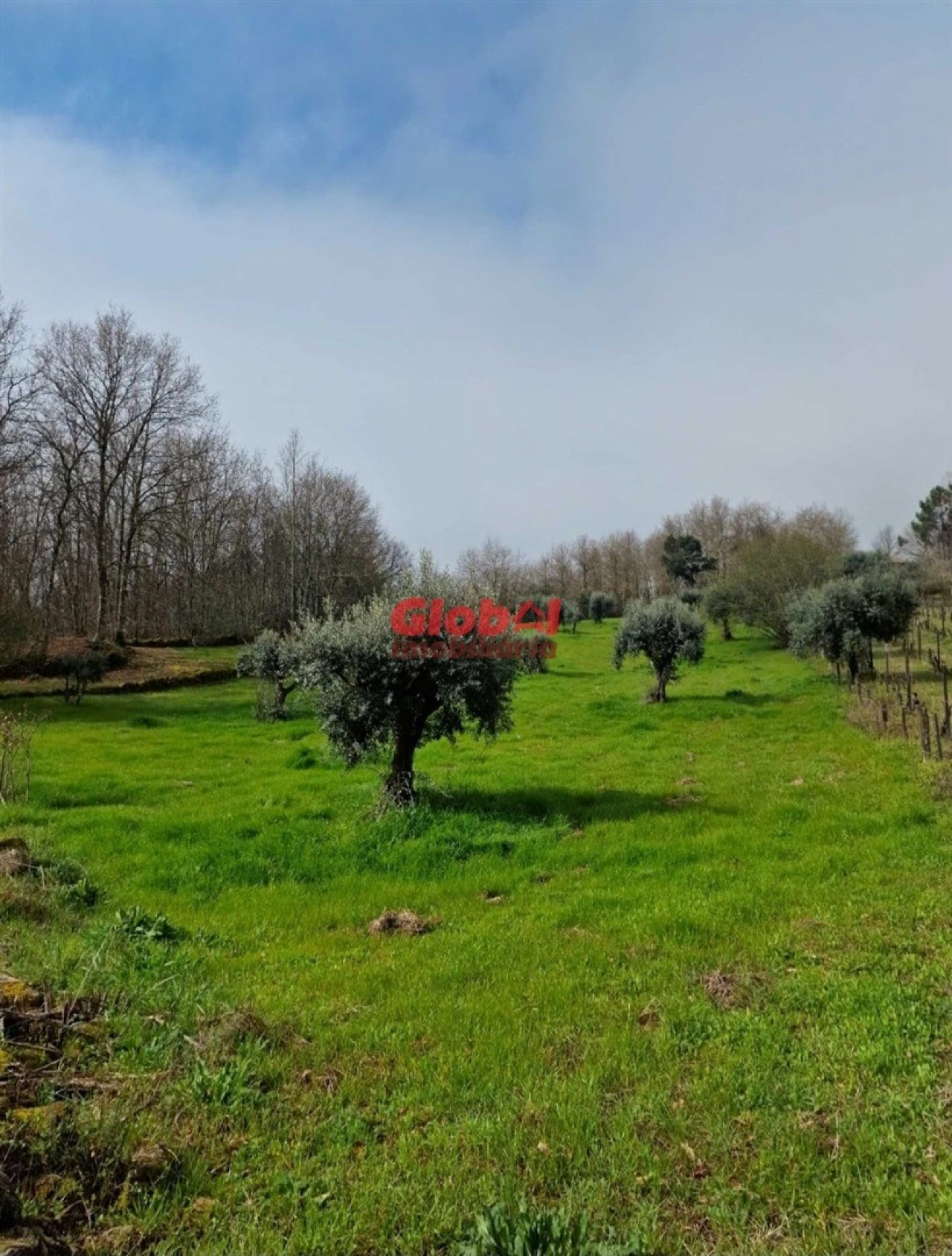 Terreno para Venda em São João de Lourosa Foto 7