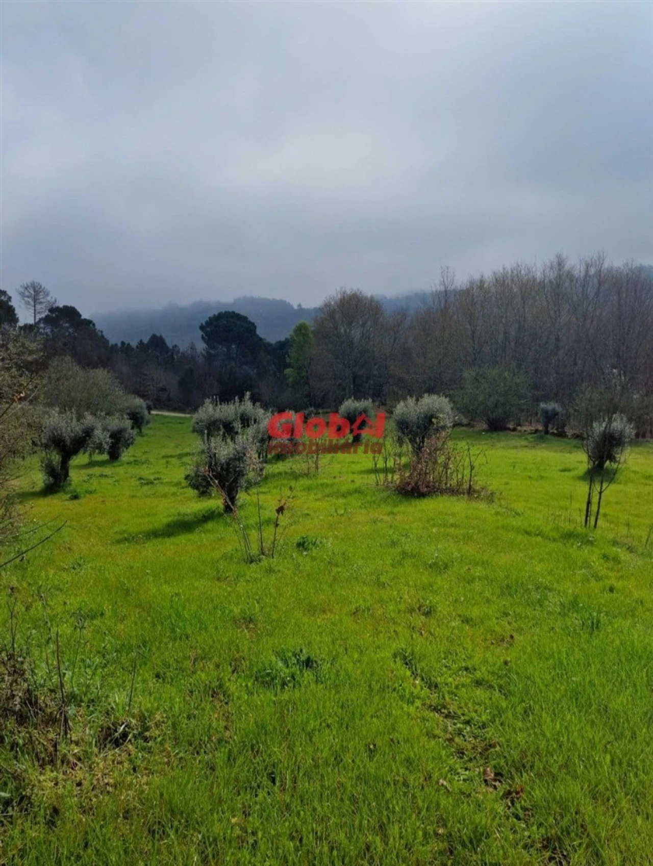 Terreno para Venda em São João de Lourosa Foto 1