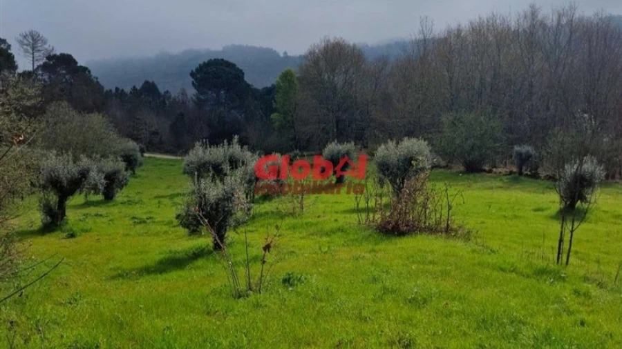 Terreno para Venda em São João de Lourosa