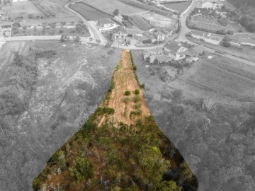 Terreno para Venda em Guia, Ilha e Mata Mourisca